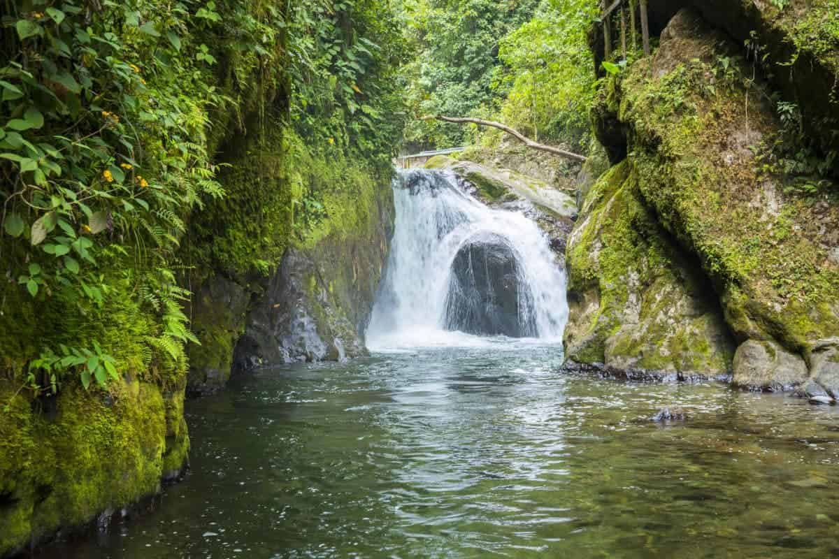 Excursion-Mindo: The waterfalls of Mindo
