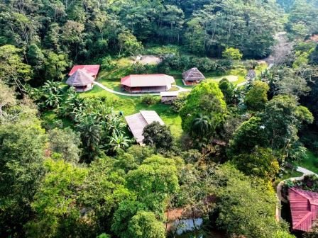 Yachana Lodge - Amazon