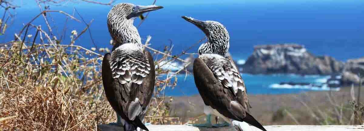 "Wij voelden ons erg thuis in Ecuador" 11 Blog Travel Experience Vanoppen