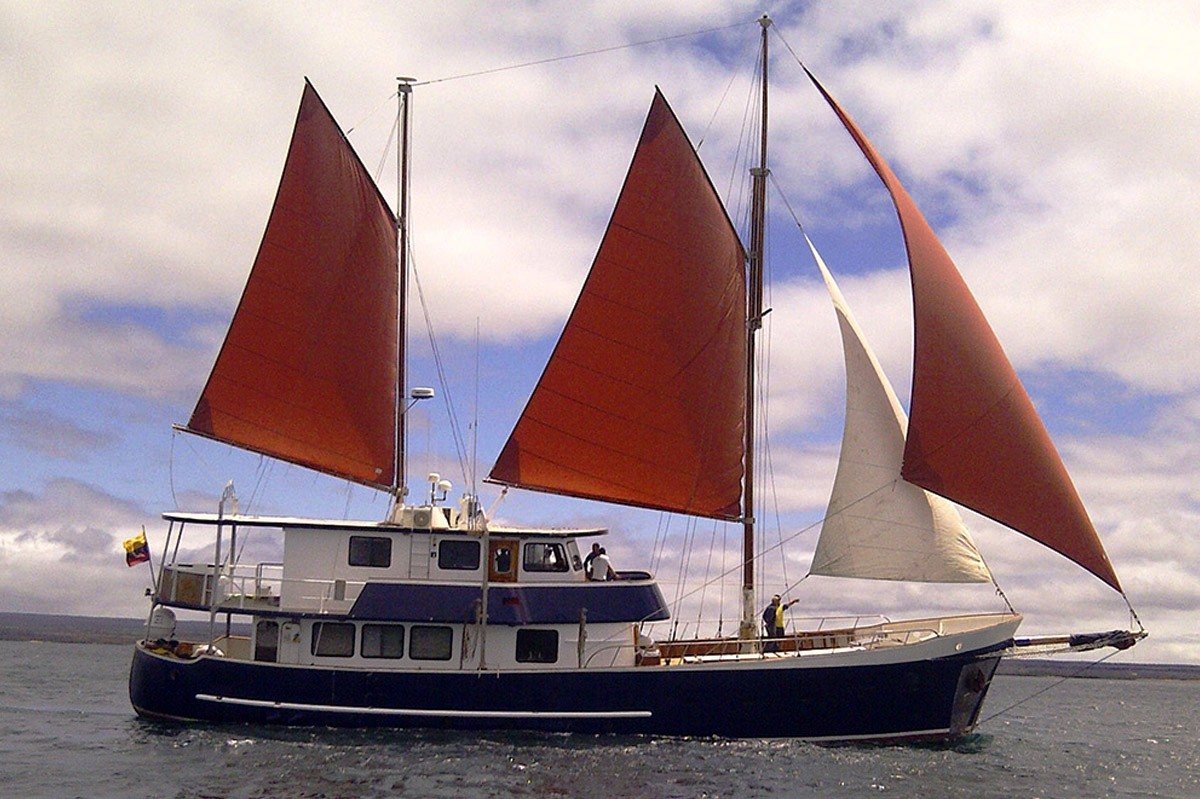 2026 boat samba 001