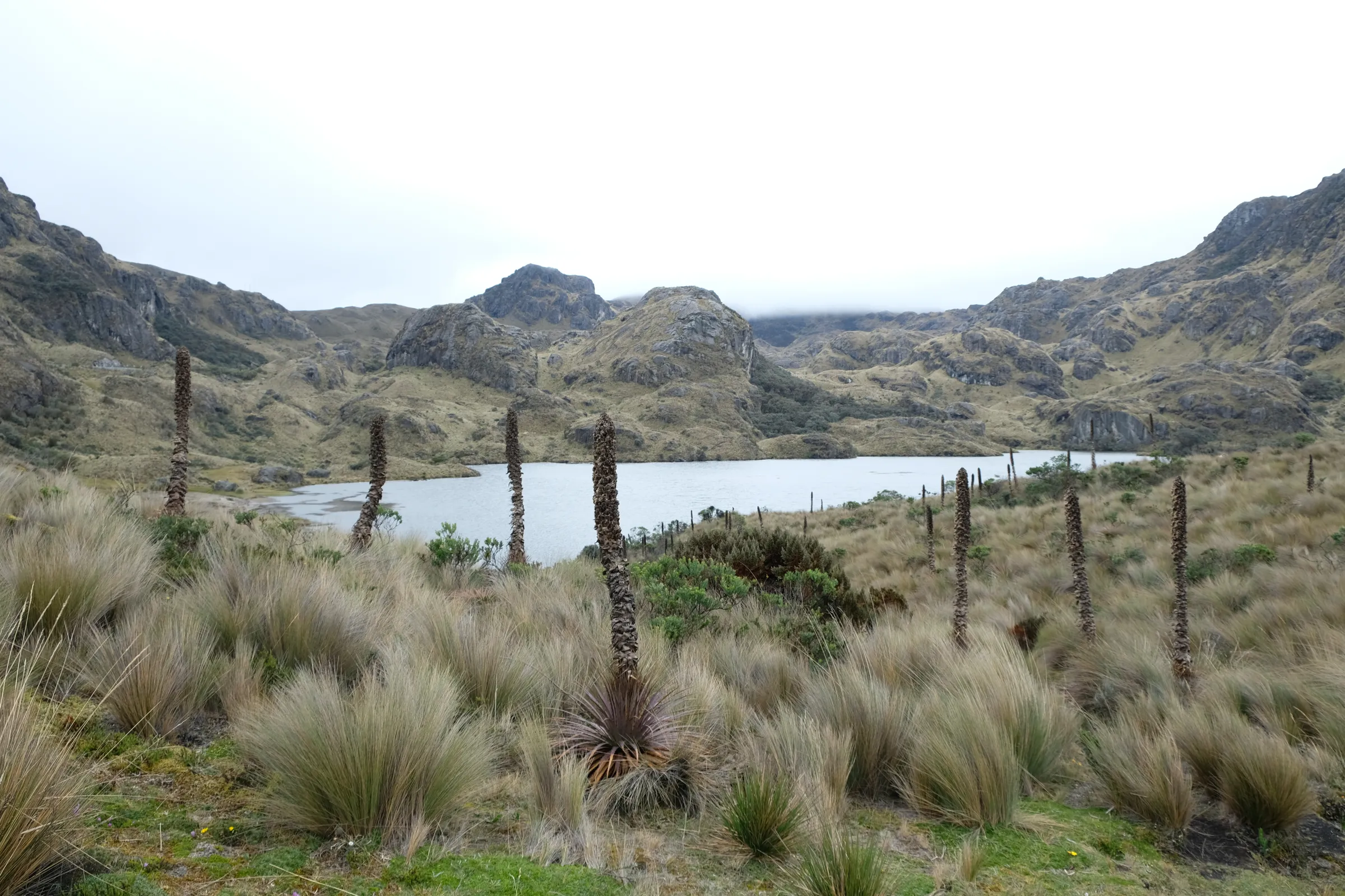 Reisverslag Hilde en Eva, Ecuador juli 2026