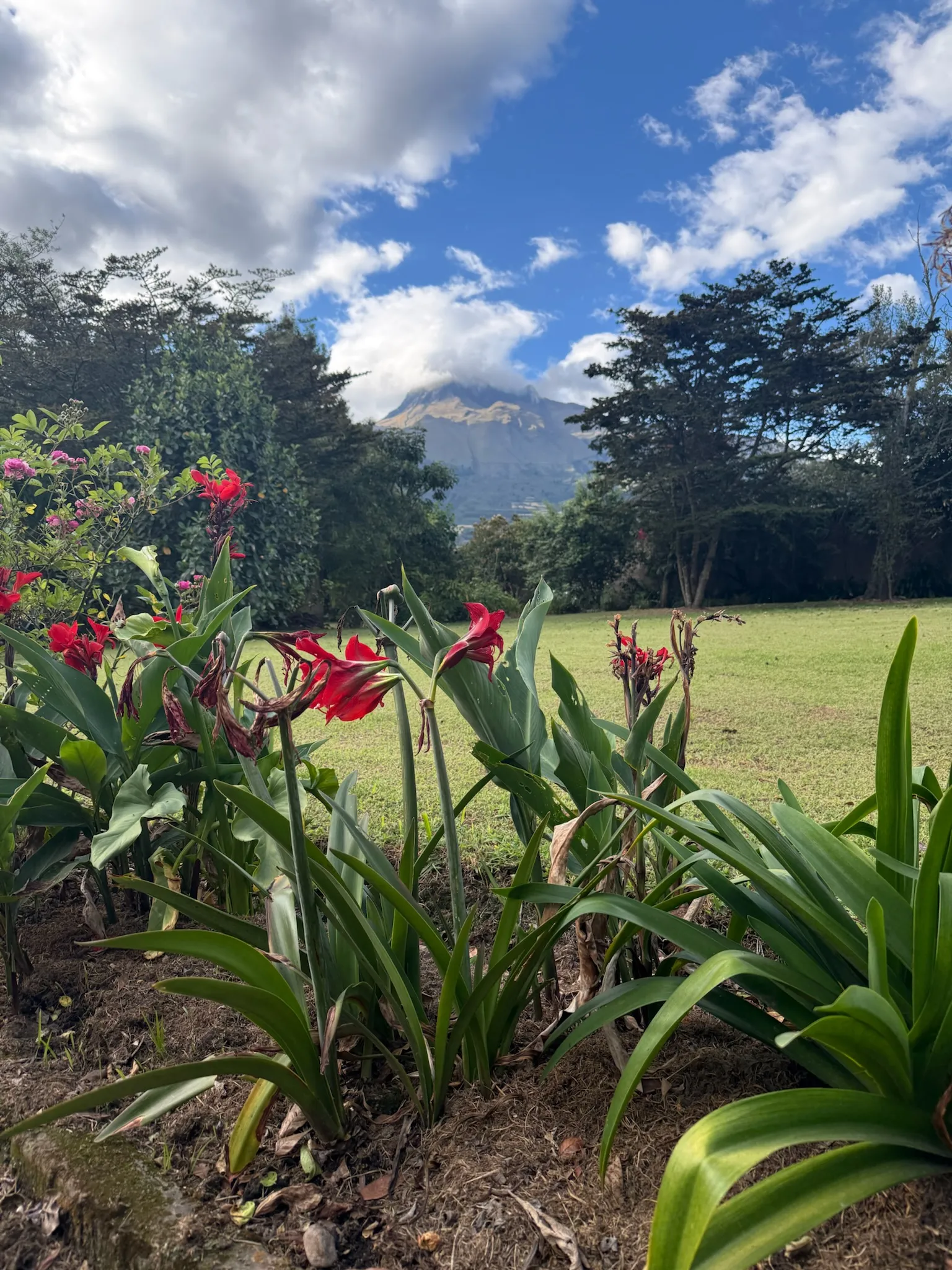 Reisverslag familie Lambrecht - Van de Steene, Ecuador 2026