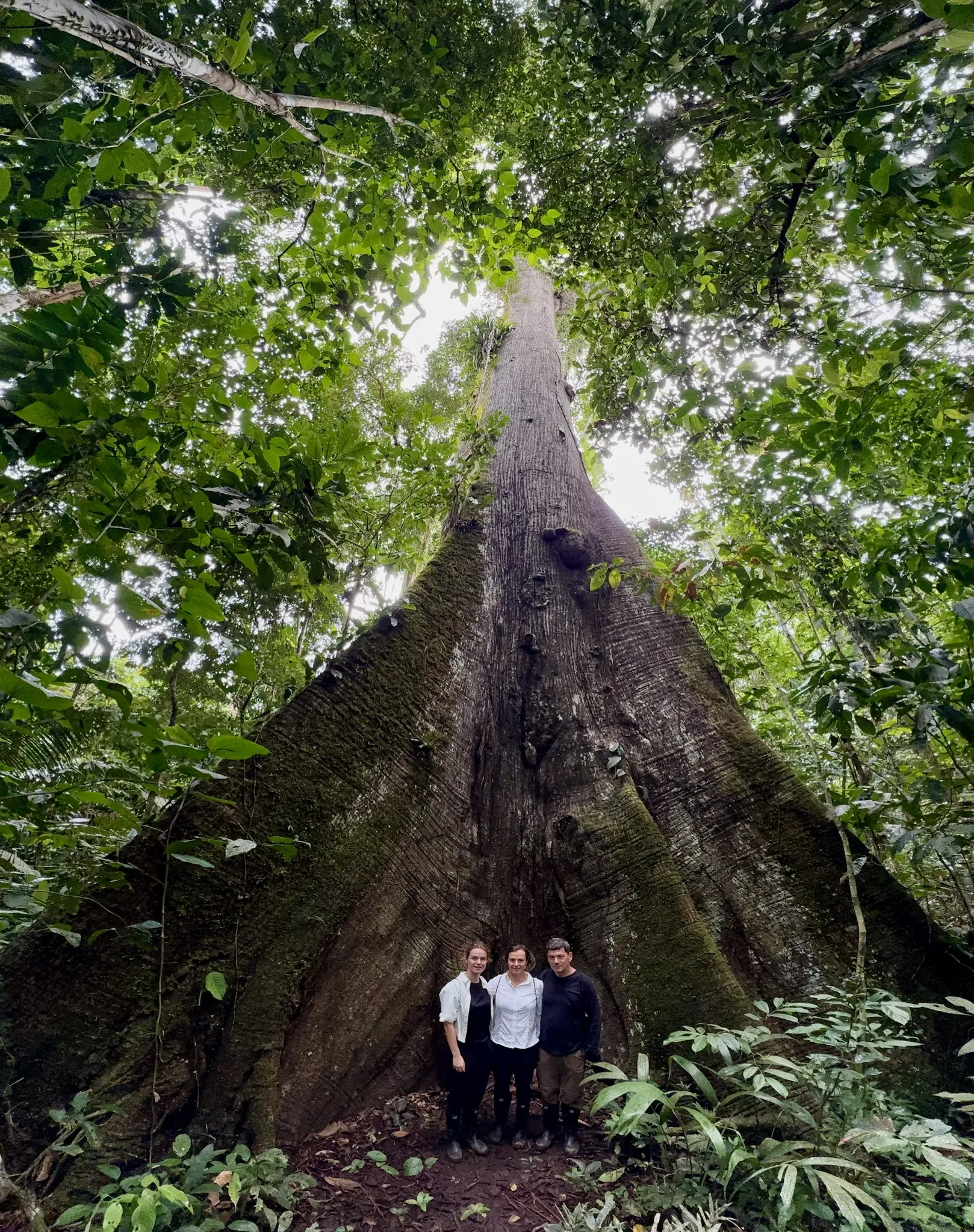 Reisverslag familie Lambrecht - Van de Steene, Ecuador 2026