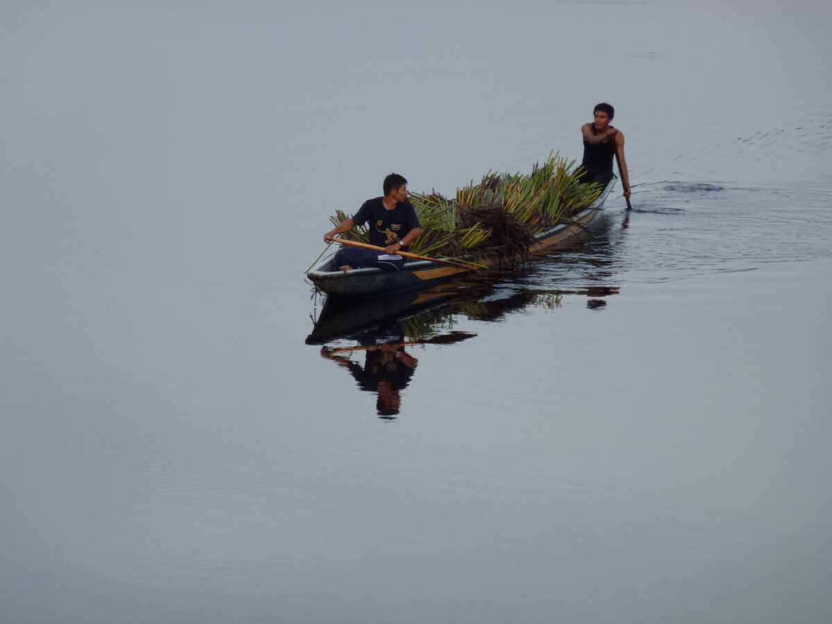 Rio Napo, Amazona
